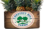 Chesnut Hill Farms